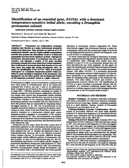 Identification of an Essential Gene, 1(3)73Ai, with a Dominant Temperature-Sensitive Lethal Allele, Encoding a Drosophila Protea