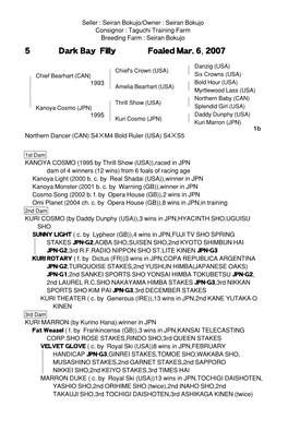 5 Dark Bay Filly Foaled Mar. 6, 2007