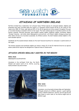 Cetaceans of Northern Ireland