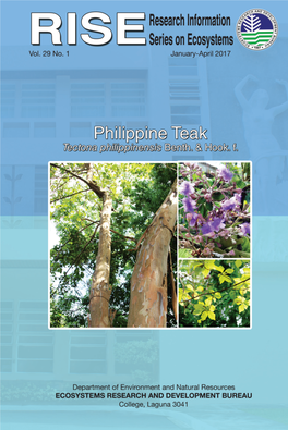 Philippine Teak