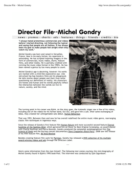 Director File ·· Michel Gondry