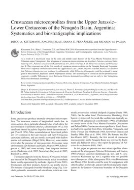 Lower Cretaceous of the Neuquén Basin, Argentina: Systematics and Biostratigraphic Implications