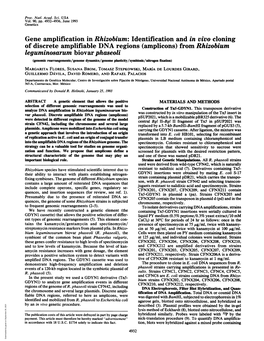 Gene Amplification in Rhizobium