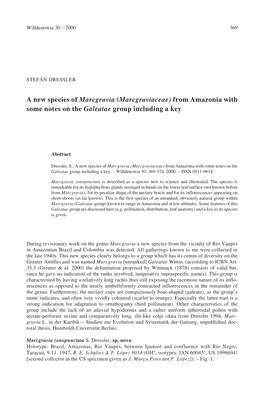 A New Species of Marcgravia (Marcgraviaceae) from Amazonia with Some Notes on the Galeatae Group Including a Key