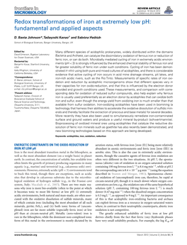 Redox Transformations of Iron at Extremely Low Ph: Fundamental and Applied Aspects