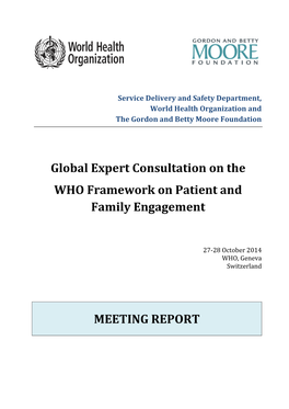 Global Expert Consultation on the WHO Framework on Patient And