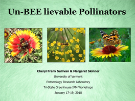 Un-BEE Lievable Pollinators