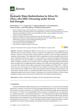 Hydraulic Water Redistribution by Silver Fir (Abies Alba Mill.) Occurring Under Severe Soil Drought