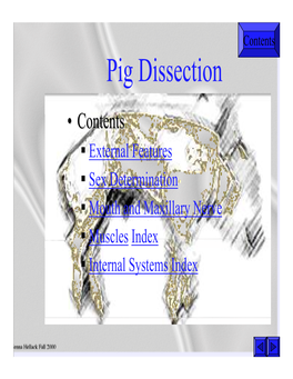 Pig Dissection Slides