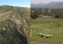 Evolución Histórica De Los Bosques En Sierra Madrona Y Valle De Alcudia