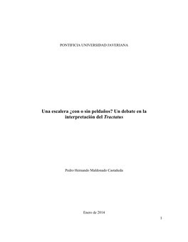 Con O Sin Peldaños? Un Debate En La Interpretación Del Tractatus