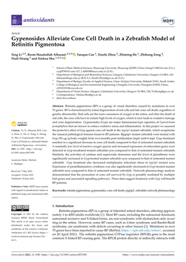 Gypenosides Alleviate Cone Cell Death in a Zebrafish Model