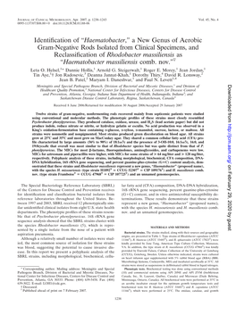 “Haematobacter,” a New Genus of Aerobic Gram-Negative