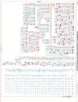 Generated by SRI International Pathway Tools Version 25.0, Authors S