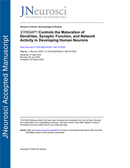 SYNGAP1 Controls the Maturation of Dendrites, Synaptic Function, and Network Activity in Developing Human Neurons