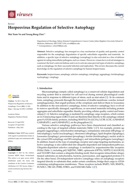 Herpesvirus Regulation of Selective Autophagy