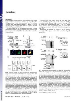 Itch E3 Ubiquitin Ligase Regulates Large Tumor Suppressor 1 Tumor-Suppressor Stability