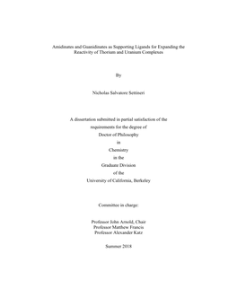 Amidinates and Guanidinates As Supporting Ligands for Expanding the Reactivity of Thorium and Uranium Complexes by Nicholas Salv