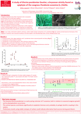 A Study of Electra Posidoniae Gautier, a Bryozoan Strictly Found As (Rio De Janeiro) November 2012 Epiphyte of the Seagrass Posidonia Oceanica (L.) Delile