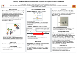 Defining the Role of Bromodomain PHD Finger Transcription Factor in the Heart