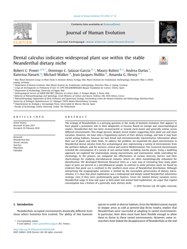 Dental Calculus Indicates Widespread Plant Use Within the Stable Neanderthal Dietary Niche