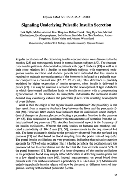 Signaling Underlying Pulsatile Insulin Secretion