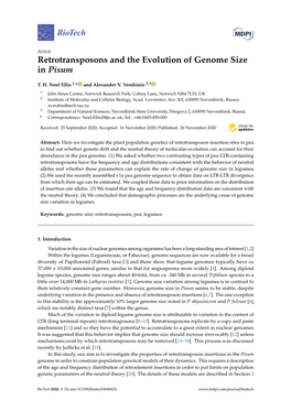 Retrotransposons and the Evolution of Genome Size in Pisum