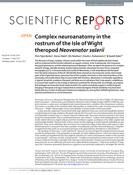 Complex Neuroanatomy in the Rostrum of the Isle of Wight Theropod