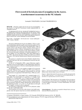 First Record of Seriola Fasciata (Carangidae) in the Azores. a Northernmost Occurrence in the NE Atlantic