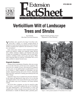 Verticillium Wilt of Landscape Trees and Shrubs