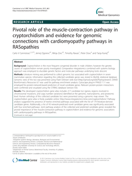 Pivotal Role of the Muscle-Contraction Pathway in Cryptorchidism And