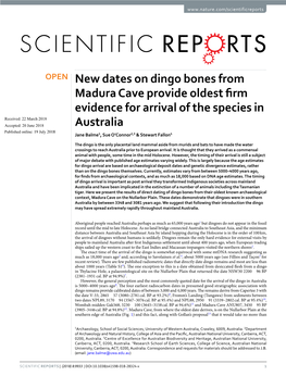 New Dates on Dingo Bones from Madura Cave Provide Oldest Firm Evidence for Arrival of the Species in Australia