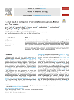 Thermal Radiation Management by Natural Photonic Structures: Morimus Asper Funereus Case