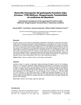 Desarrollo Intracapsular Del Gasterópodo Fasciolaria Tulipa