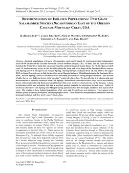 Two Giant Salamander Species (Dicamptodon) East of the Oregon Cascade Mountain Crest, USA