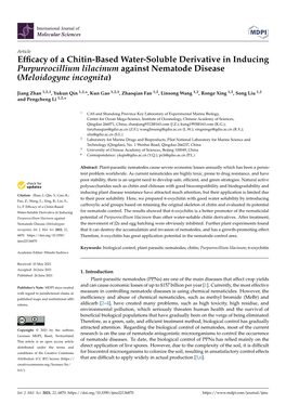 Efficacy of a Chitin-Based Water-Soluble Derivative In