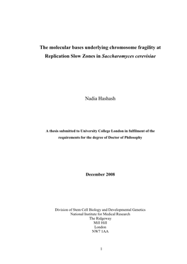 Molecular Bases Underlying Chromosome Fragility at Replication Slow Zones in Saccharomyces Cerevisiae