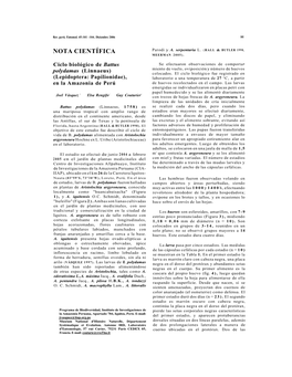 Ciclo Biologico De Battus Polydamas (Linnaeus)