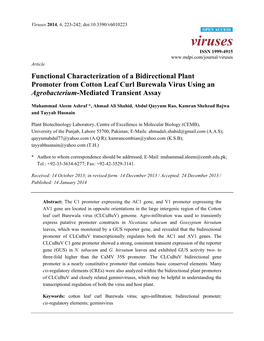Functional Characterization of a Bidirectional Plant Promoter from Cotton Leaf Curl Burewala Virus Using an Agrobacterium-Mediated Transient Assay