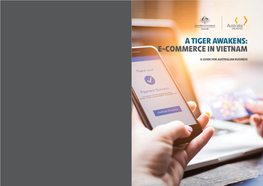 A Tiger Awakens: E-Commerce in Vietnam