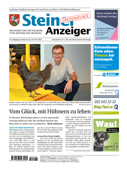 Steiner Anzeiger Vom 30. Juni 2020