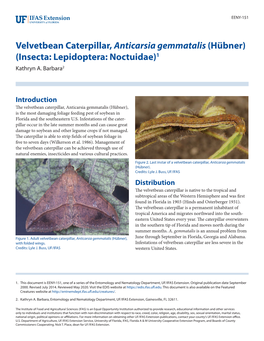 Velvetbean Caterpillar, Anticarsia Gemmatalis (Hübner) (Insecta: Lepidoptera: Noctuidae)1 Kathryn A