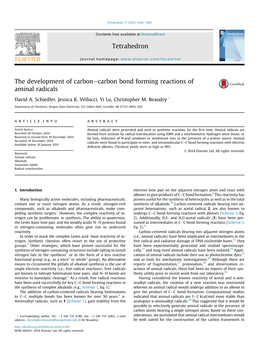 The Development of Carbon-Carbon Bond Forming Reactions of Aminal