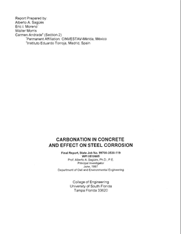 Carbonation in Concrete and Effect on Steel Corrosion