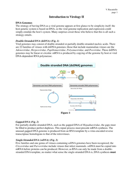 Introduction to Virology II