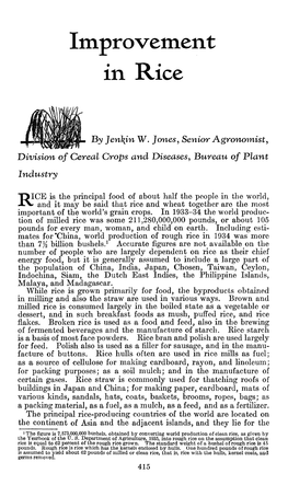 Improvement in Rice