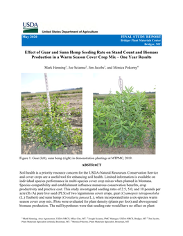 Final Study Report, Effects of Guar and Sunn Hemp Seeding Rate On