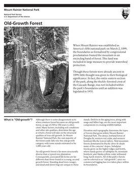 Old Growth Forest