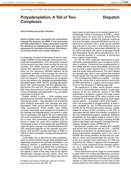 Polyadenylation: a Tail of Two Dispatch Complexes