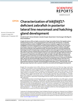 Characterization of Biklf/Klf17-Deficient Zebrafish in Posterior Lateral Line Neuromast and Hatching Gland Development